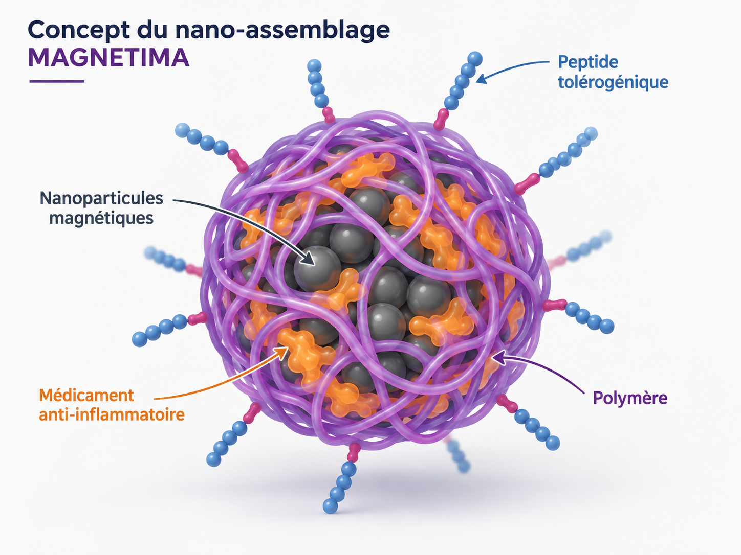 Concept of the MAGNETIMA magnetic nanoassembly