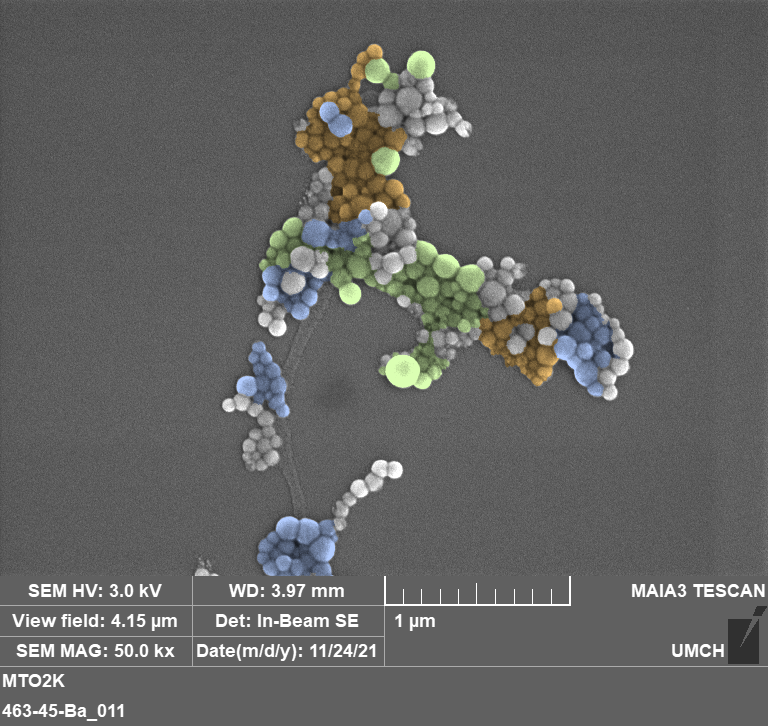 Electron microscopy image of magnetic nanoassemblies