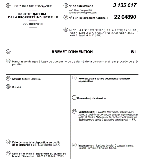 French patent FR 3135617 B1 on curcumin-based nanoassemblies